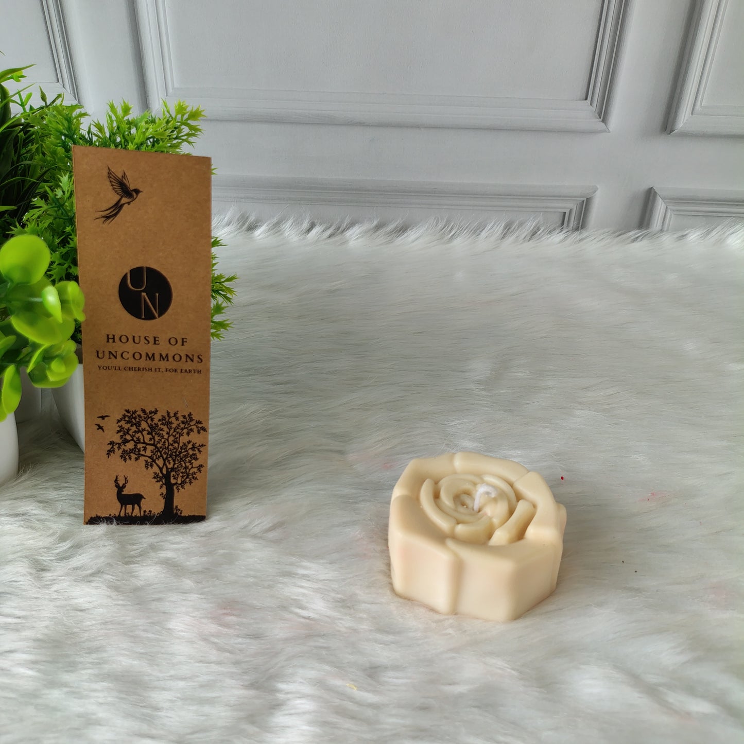 Rose Duo Soy Wax Candle Red and White