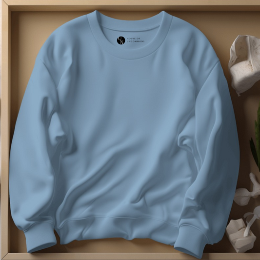 Baby Blue  Plain Men Sweatshirt